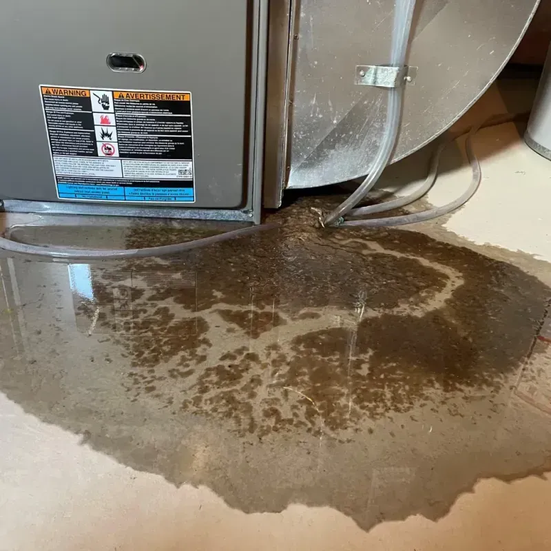 Appliance Leak Cleanup in State Center, IA